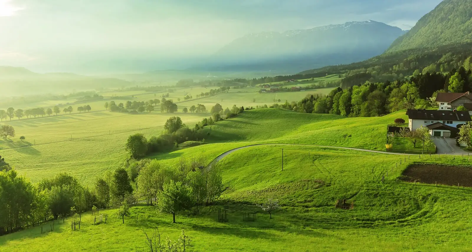 Lush green valley landscape in soft daylight